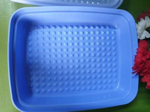 Tupperware Container