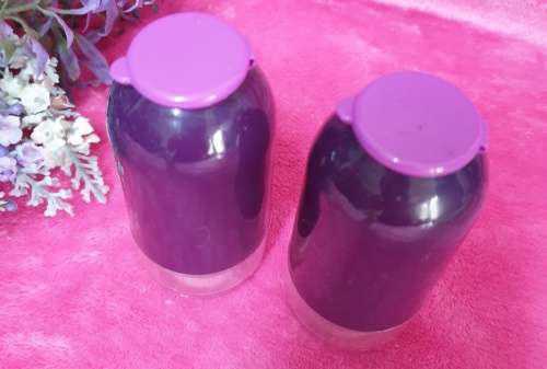 Tupperware Salt and Pepper Set (Purple and Pink)