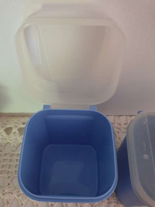 Two Tupperware Containers Blue