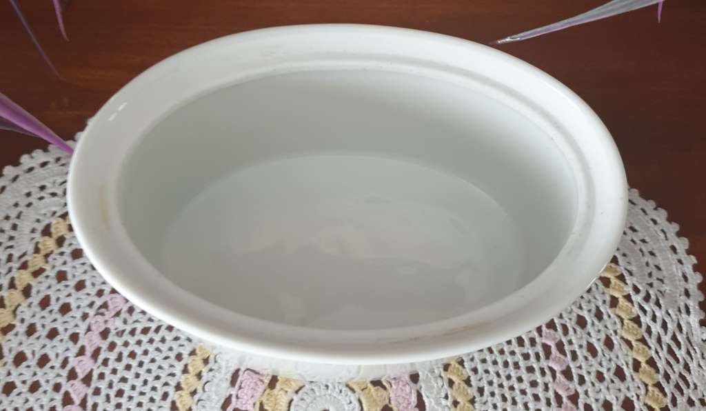 FRENCH WHITE Paté DISH