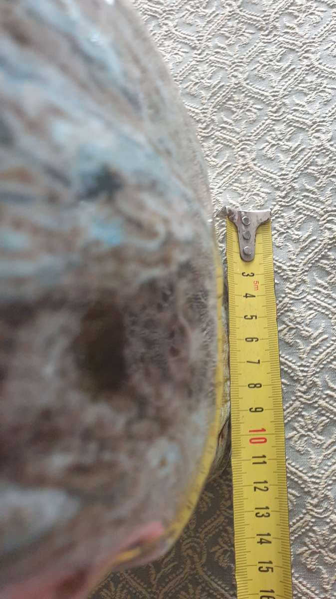 LARGE POTTERY VASE | GREAT CONDITION | DECOR | HOME |