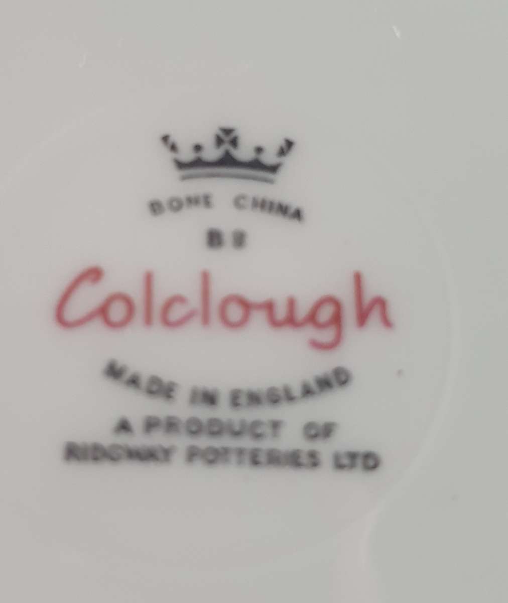 COLCLOUGH RIDGWAY POTTERIES BONE CHINA | SET WITH CAKE PLATE | ENGLAND |