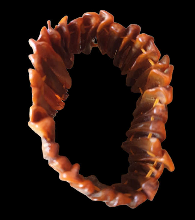 Natural Stretchy Sea Shell Bracelet Copper color | ONE SIZE FITS ALL |