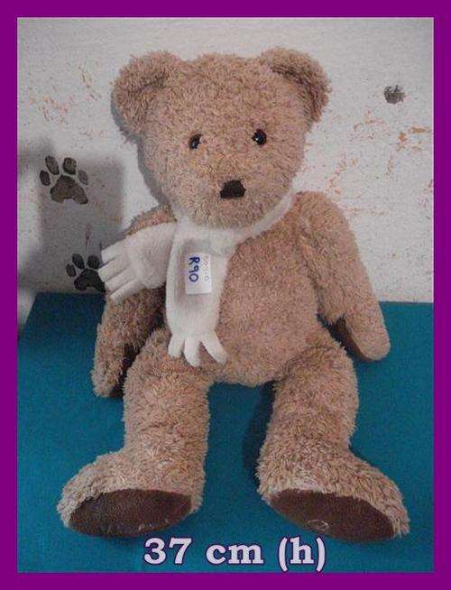 Beautifull Woolworths Teddy Bear