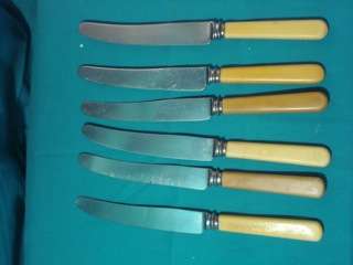 6 Beautiful Bone Handle Knives