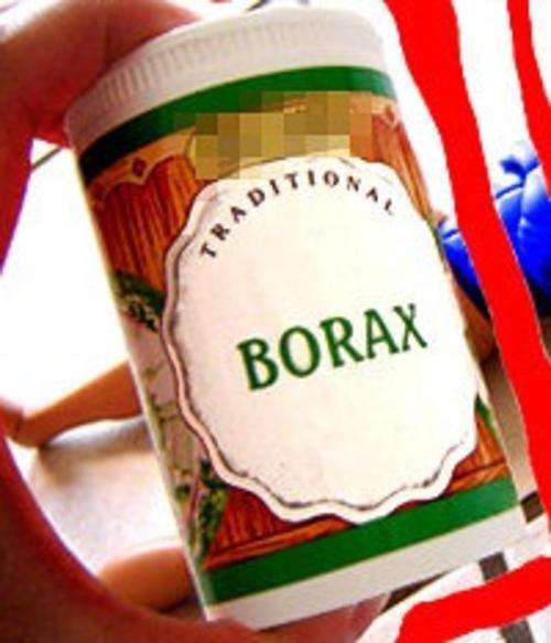 5 ON AUCTION!! Borax (100g)- over 40 different uses