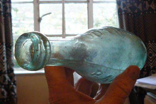 Hamilton Carbonated Water Bottle