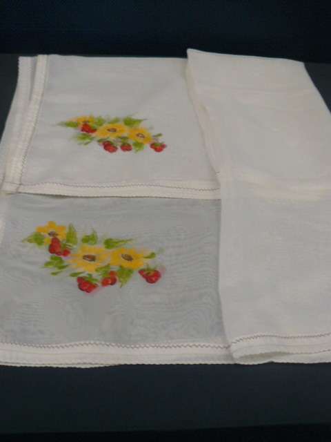 LARGE FOOD NET WITH HAND PAINTING