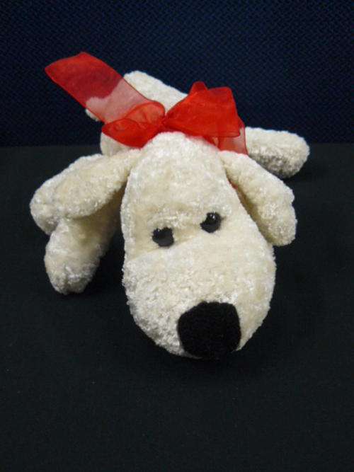 NO MESS DOG NEEDS HOME