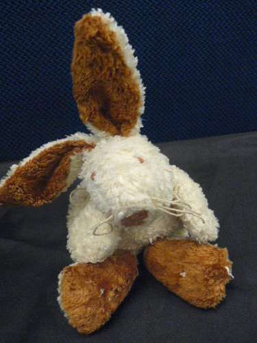 BUNNY CUTE !!!@@@!!!