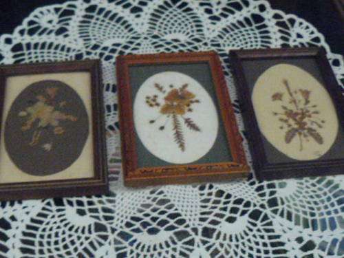 WOODEN VINTAGE FRAMES WITH GLASS X 3