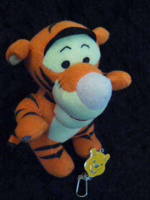 TIGGER RATTLE AND FREE GIFT