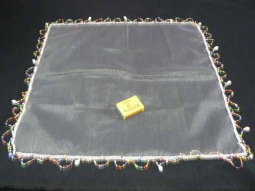 HAND BEADDED FOOD COVER NET