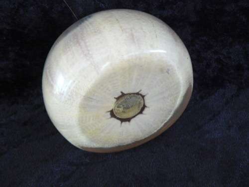 SEA URCHIN RESIN PAPER WEIGHT