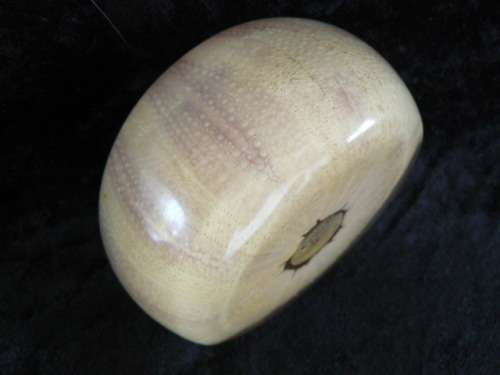 SEA URCHIN RESIN PAPER WEIGHT