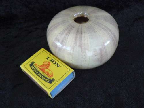 SEA URCHIN RESIN PAPER WEIGHT