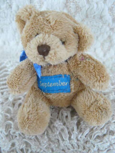 COLLCTABLE MINIATUR BEAR