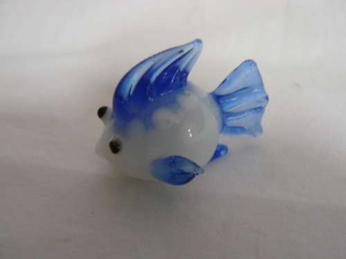 GLASS FISH SO CUTE