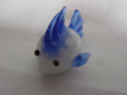 GLASS FISH SO CUTE