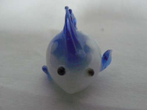 GLASS FISH SO CUTE