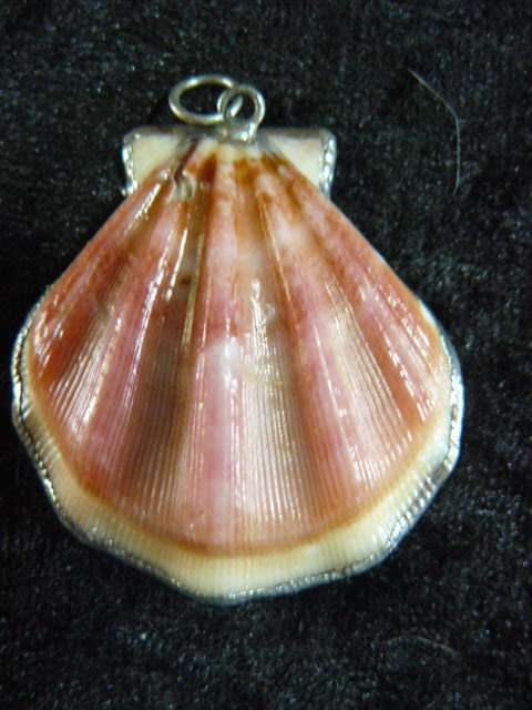 SHELL PENDANT