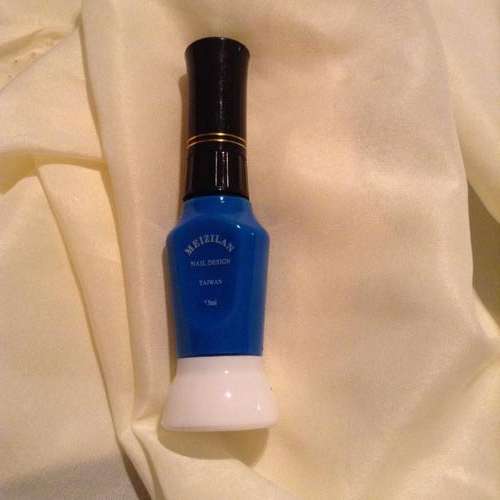 NAIL ART PENS BLUE