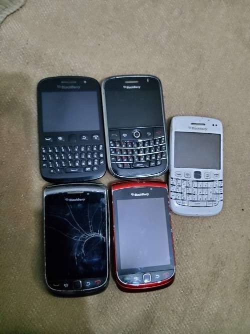 Blackberry lot