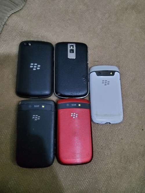 Blackberry lot