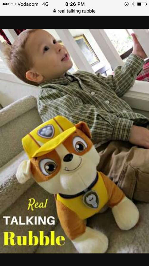Paw Patrol Paw Patrol Rubble