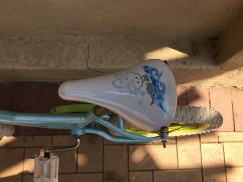 Girls Bicycle