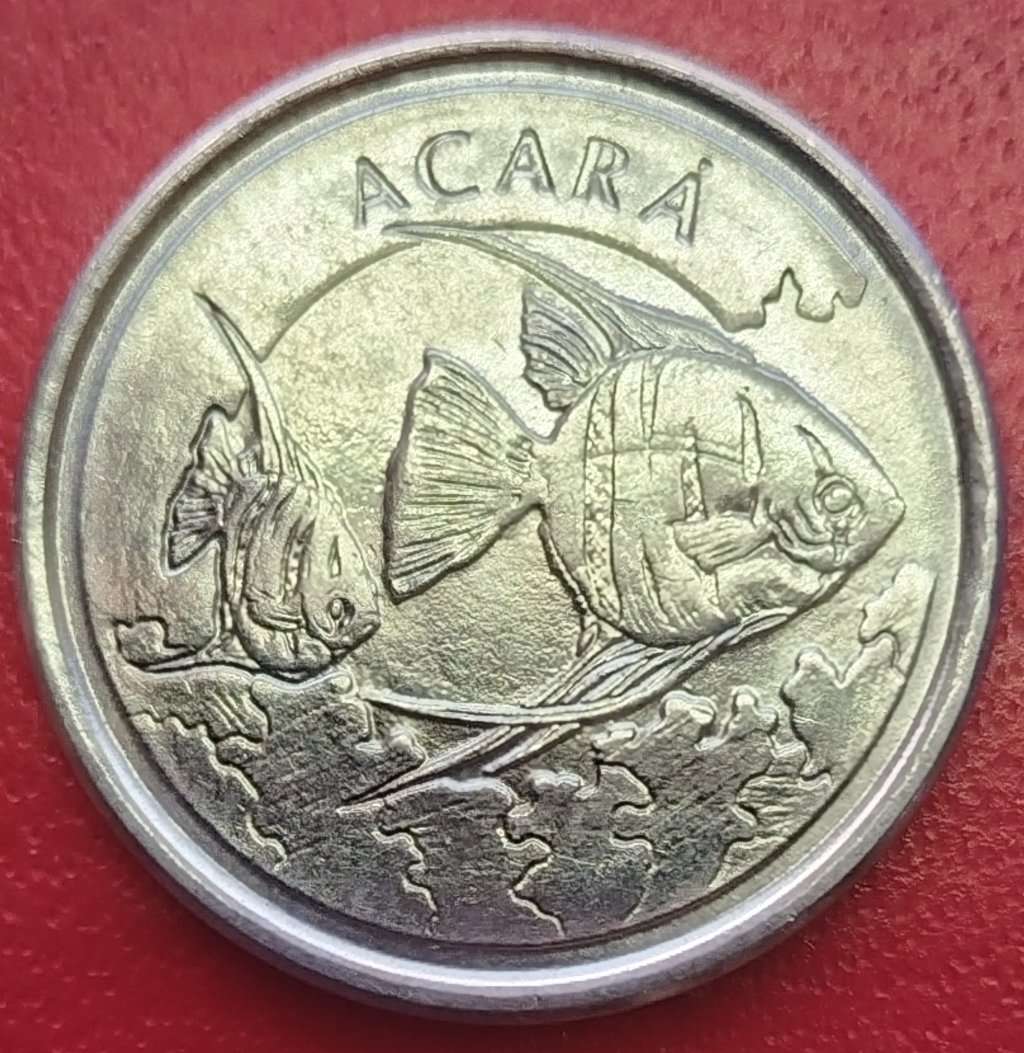 1993      1000  Cruzeiros         Brazil       SUN14474