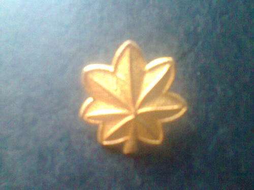 UNITED STATES ARMY OFFICER RANK BADGE