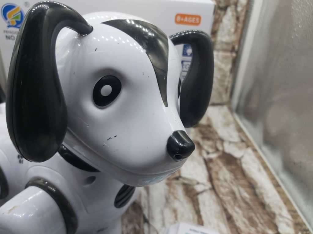 EDUCATIONAL NAUGHTY DOG -CUTE MUSIC DOG