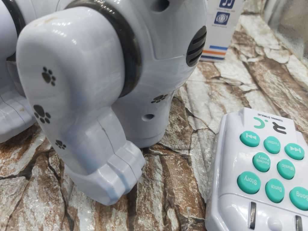 EDUCATIONAL NAUGHTY DOG -CUTE MUSIC DOG