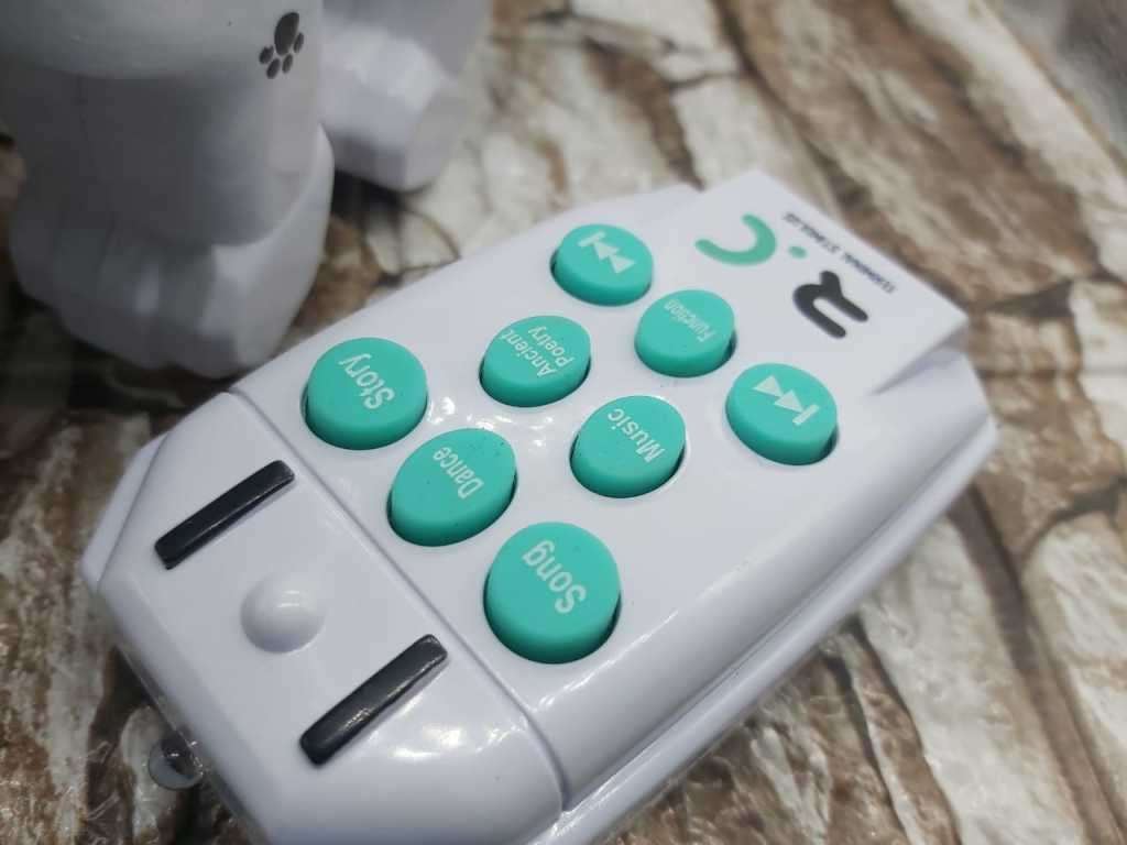 EDUCATIONAL NAUGHTY DOG -CUTE MUSIC DOG