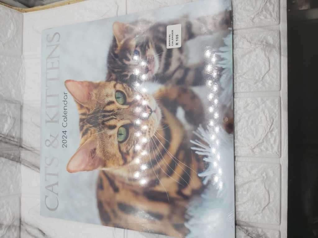 THEMED MOIVATIONAL 2024 CALENDARS ---CUTE KITTENS :-)