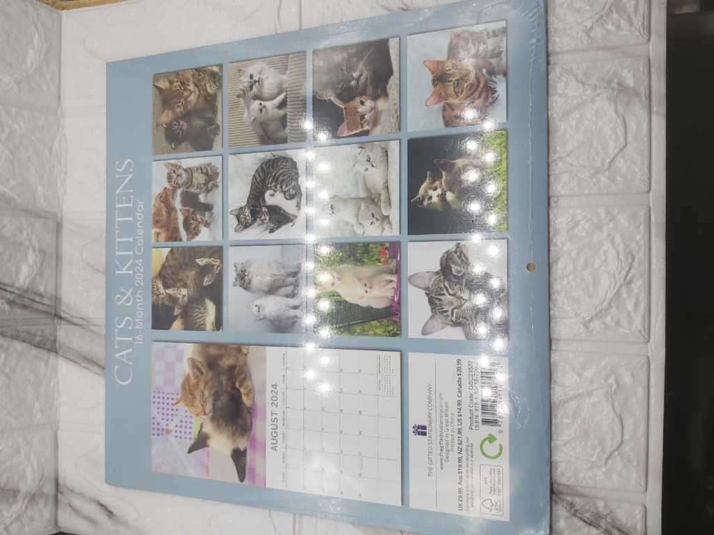 THEMED MOIVATIONAL 2024 CALENDARS ---CUTE KITTENS :-)