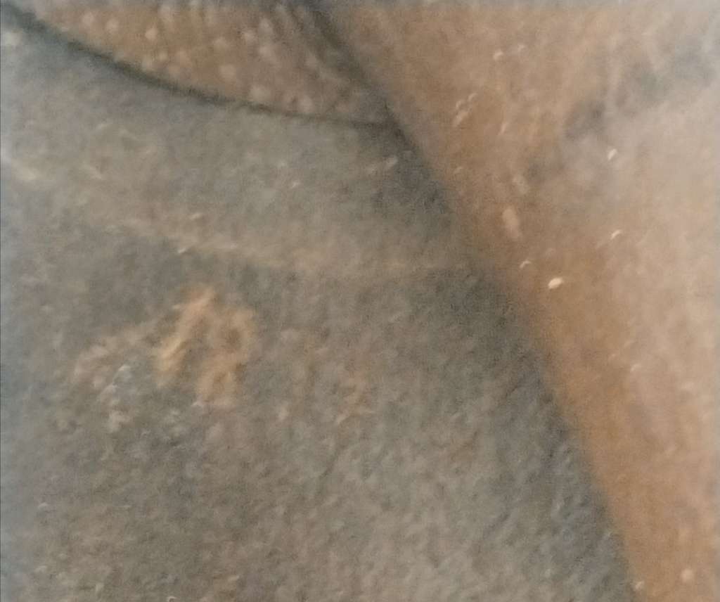 1899 BOER WAR ERA KAMASTE