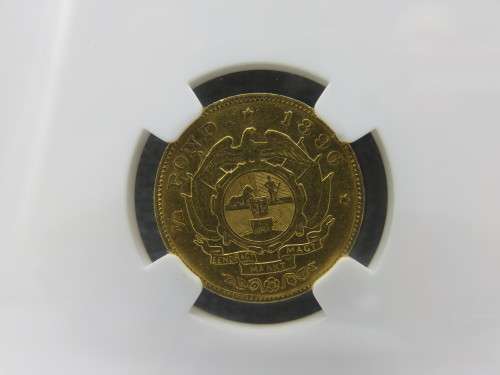 1896 ZAR GOLD HALFPOND NGC Graded XF45 | FUN R1 Start