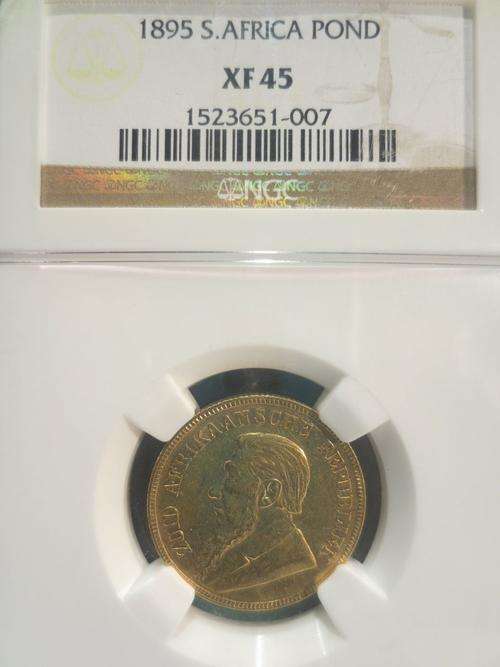 1895 ZAR GOLD POND NGC GRADED XF45 | KEY DATE | Hern's Price EF - R35 000 | FUN SUNDAY |