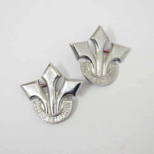 Pair of SA Corps of professional officers collar badges