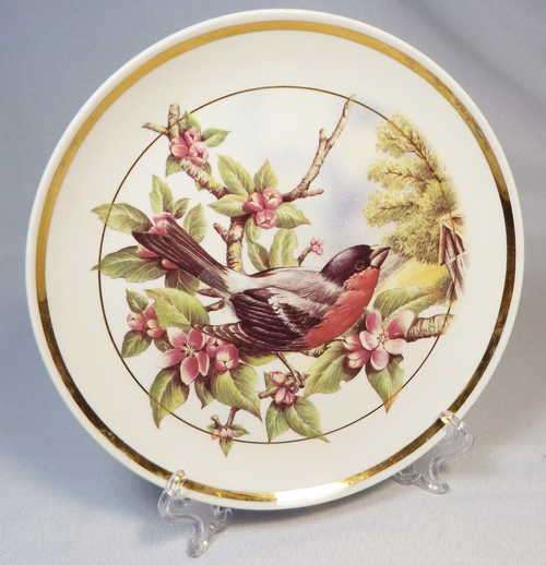 Continental plate with painted bird