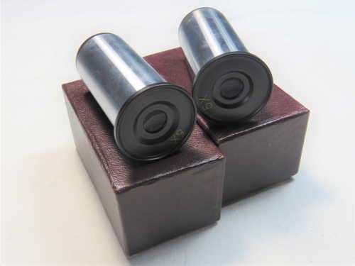 Pair of 5x microscope eyepiece lenses