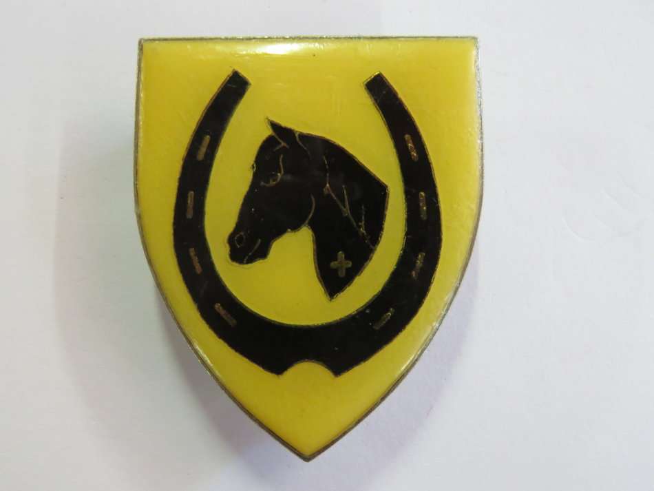SADF Equestrian centre shoulder flash