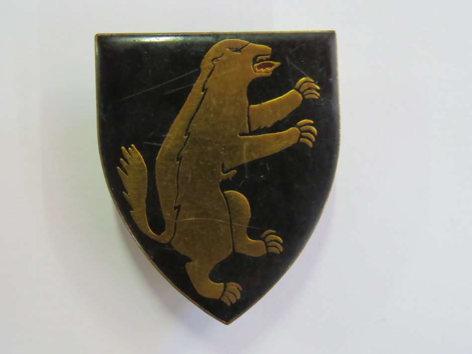 SADF 1 SA Infantry shoulder flash