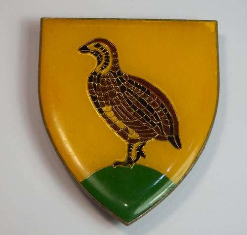 SADF Bloemfontein district commando shoulder flash