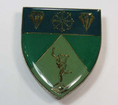 1 SWA Signal regiment pocket flash