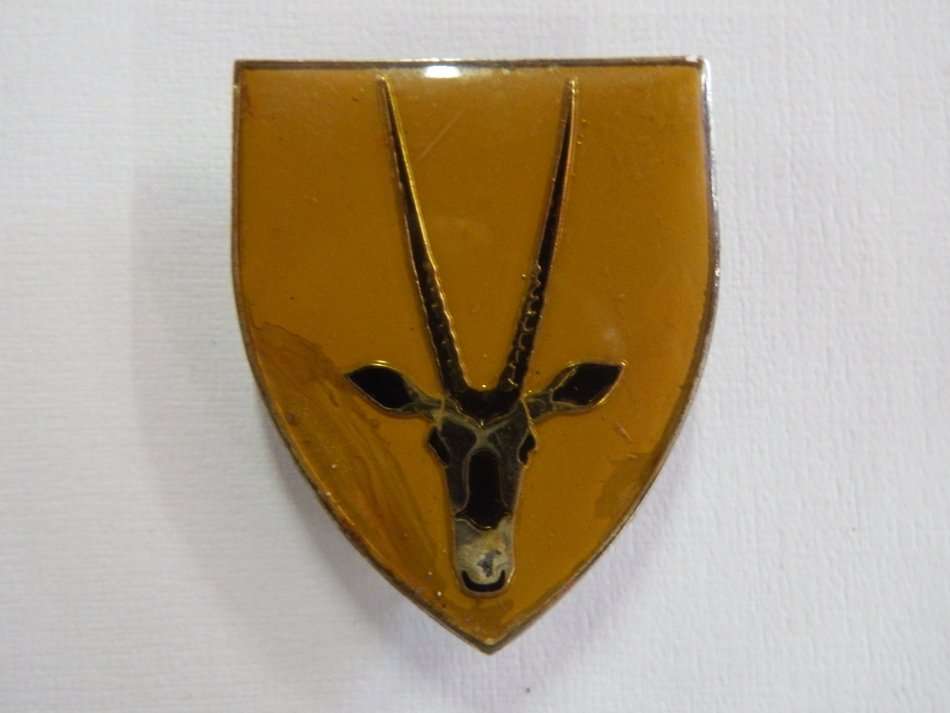 SADF 8 SA Infantry shoulder flash