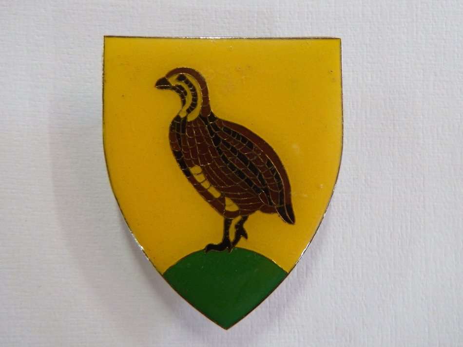 SADF Bloemfontein district commando shoulder flash