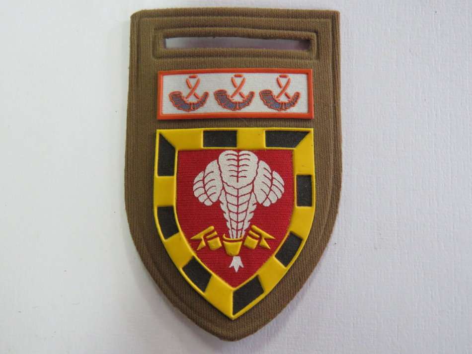 SADF 1 SA Infantry tuypperware flash with orange Free State command bar - No pin - Glue on back